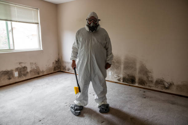 Best Industrial Mold Remediation in Kersey, CO